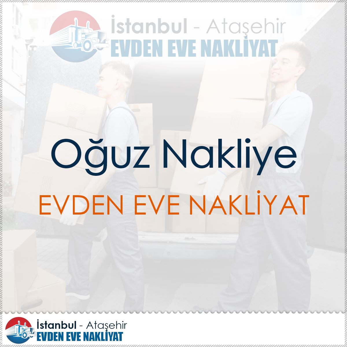 Oğuz Nakliye : Kapak Görseli