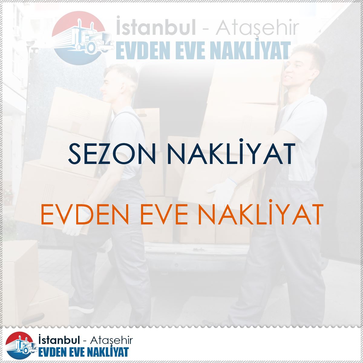 Sezon Nakliyat : Kapak Görseli